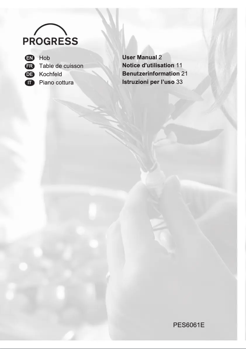 Imagen de la primera página del manual del dispositivo PES6061E