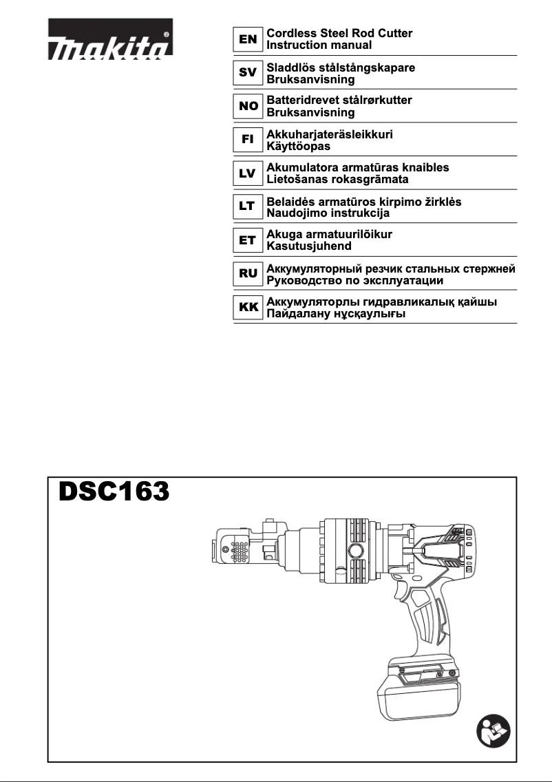 Imagen de la primera página del manual del dispositivo DSC163