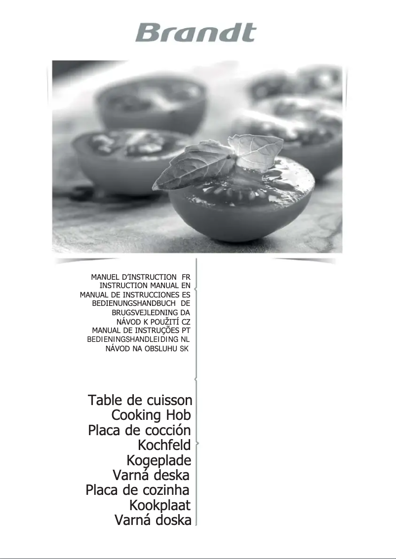Página 1 del manual Manual de usuario Brandt BPI6312B