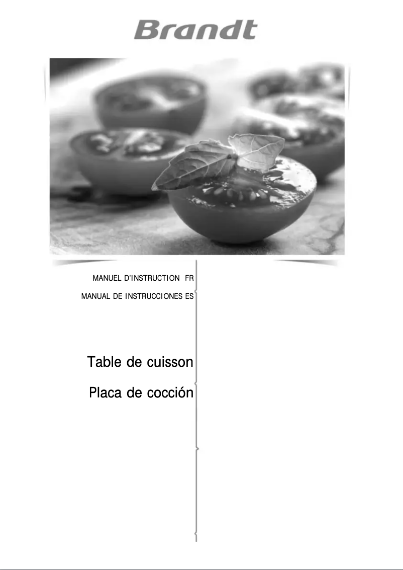 Imagen de la primera página del manual del dispositivo BPI6464B