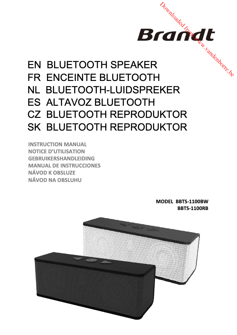 Imagen de la primera página del manual del dispositivo BBTS-1100