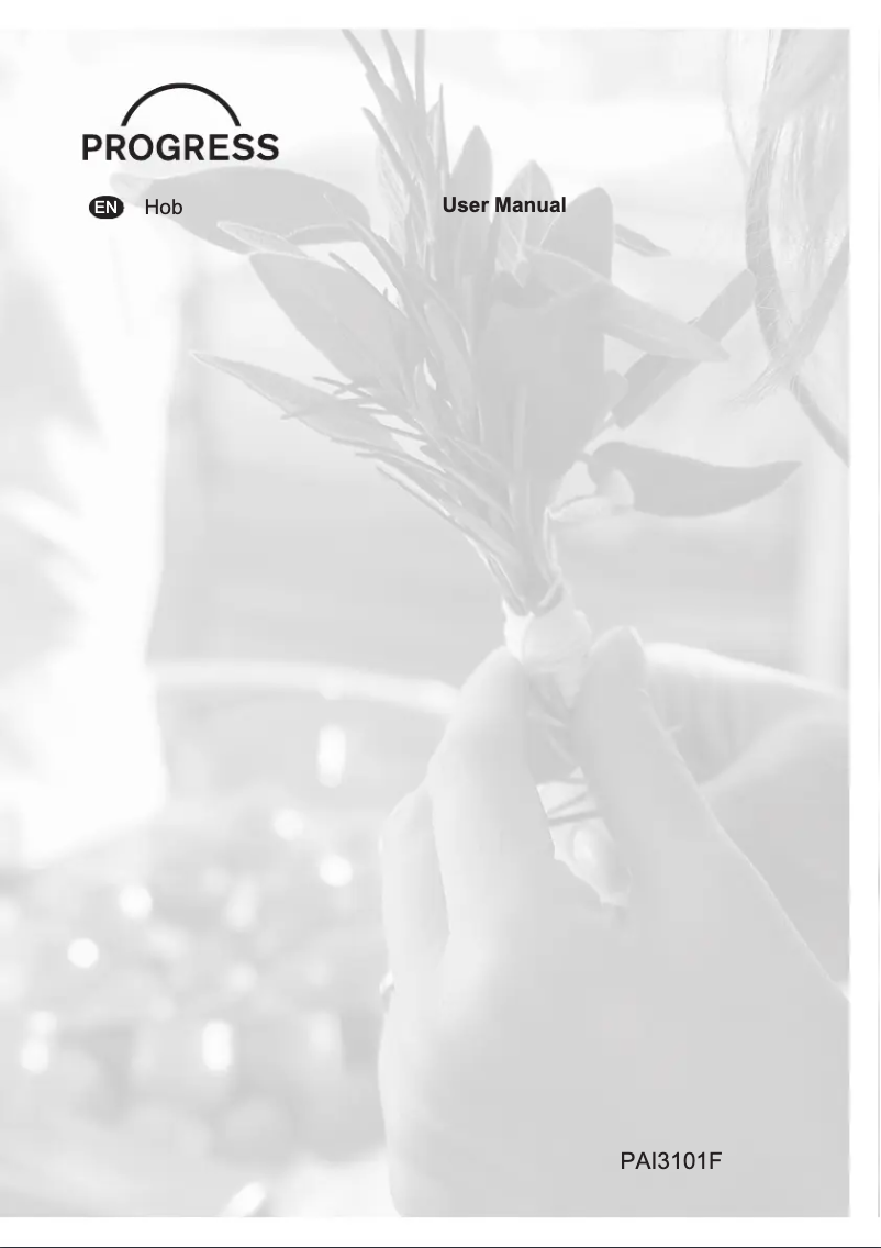 Imagen de la primera página del manual del dispositivo PAI3101F