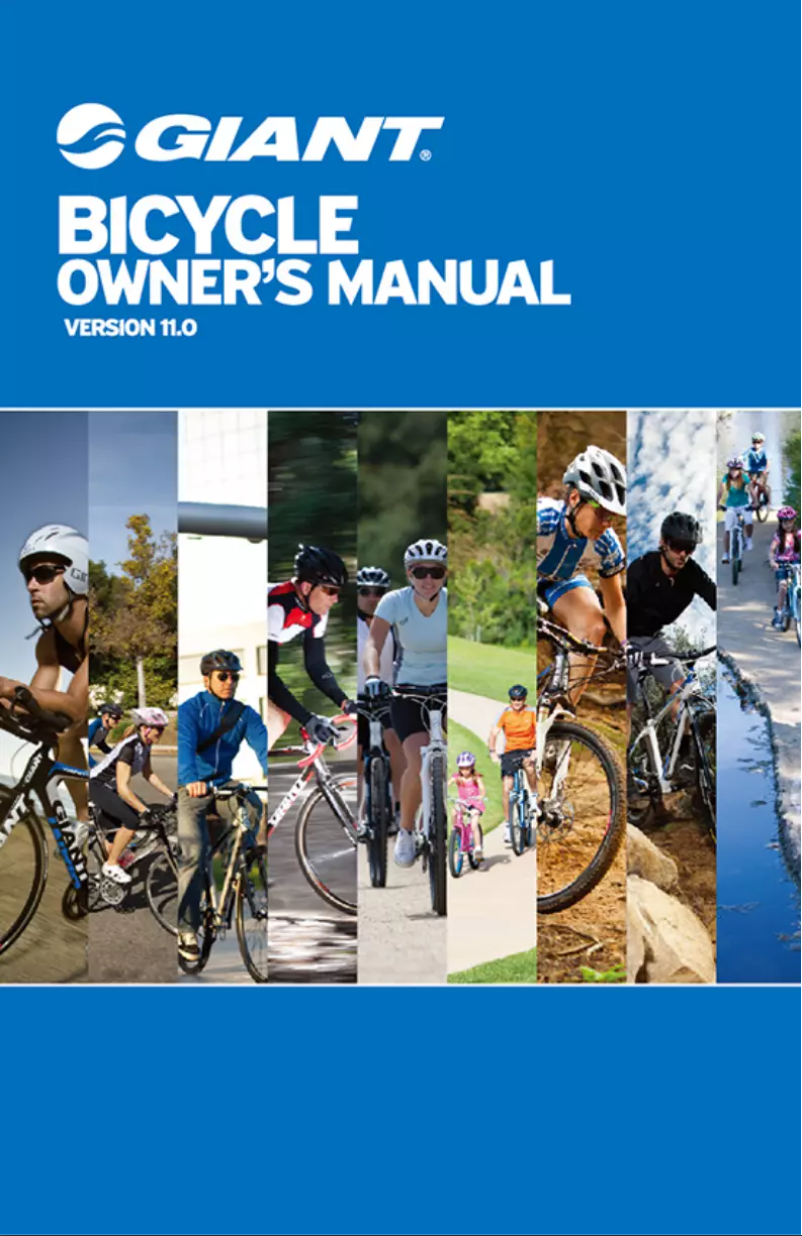 Página 1 del manual Manual de usuario Giant Cross City