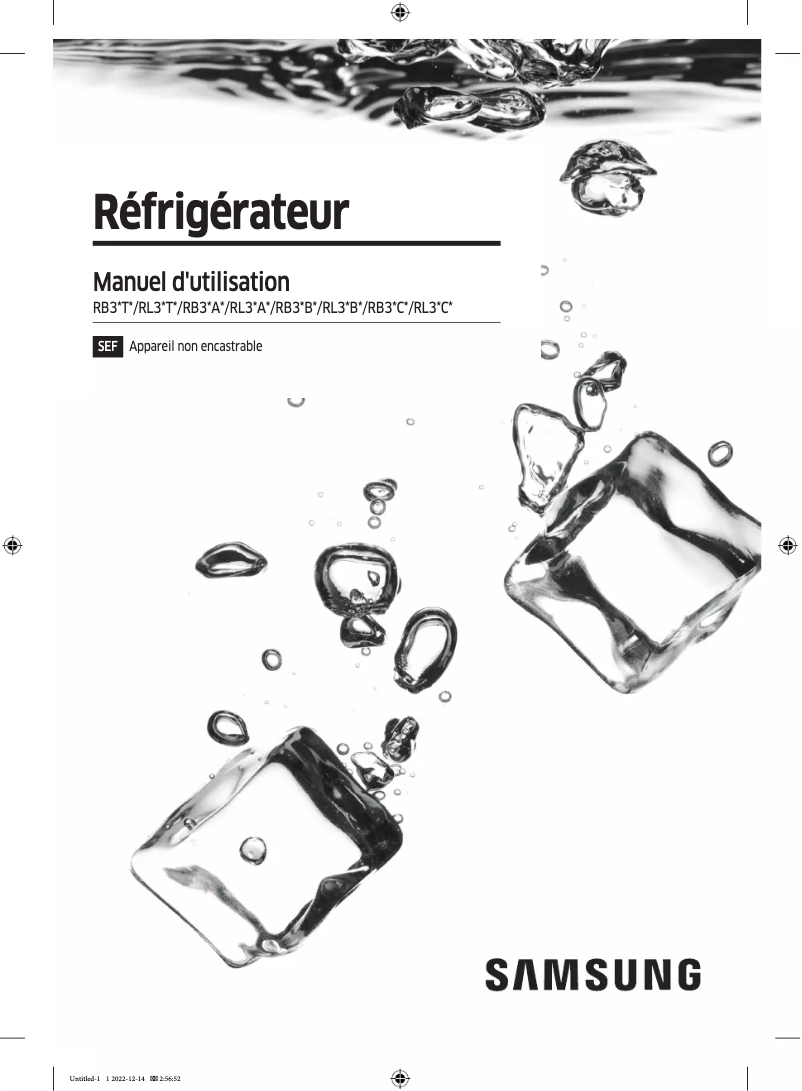 Imagen de la primera página del manual del dispositivo RB3CT600FWW