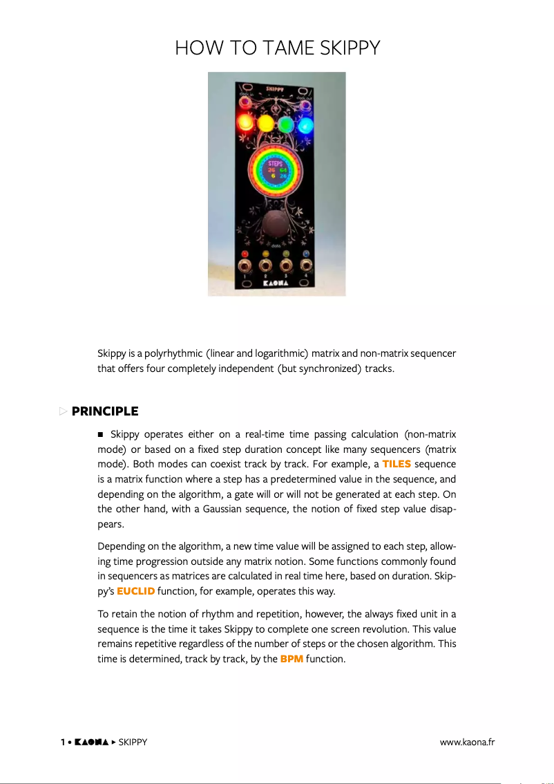 Página 1 del manual Manual de usuario Kaona Skippy