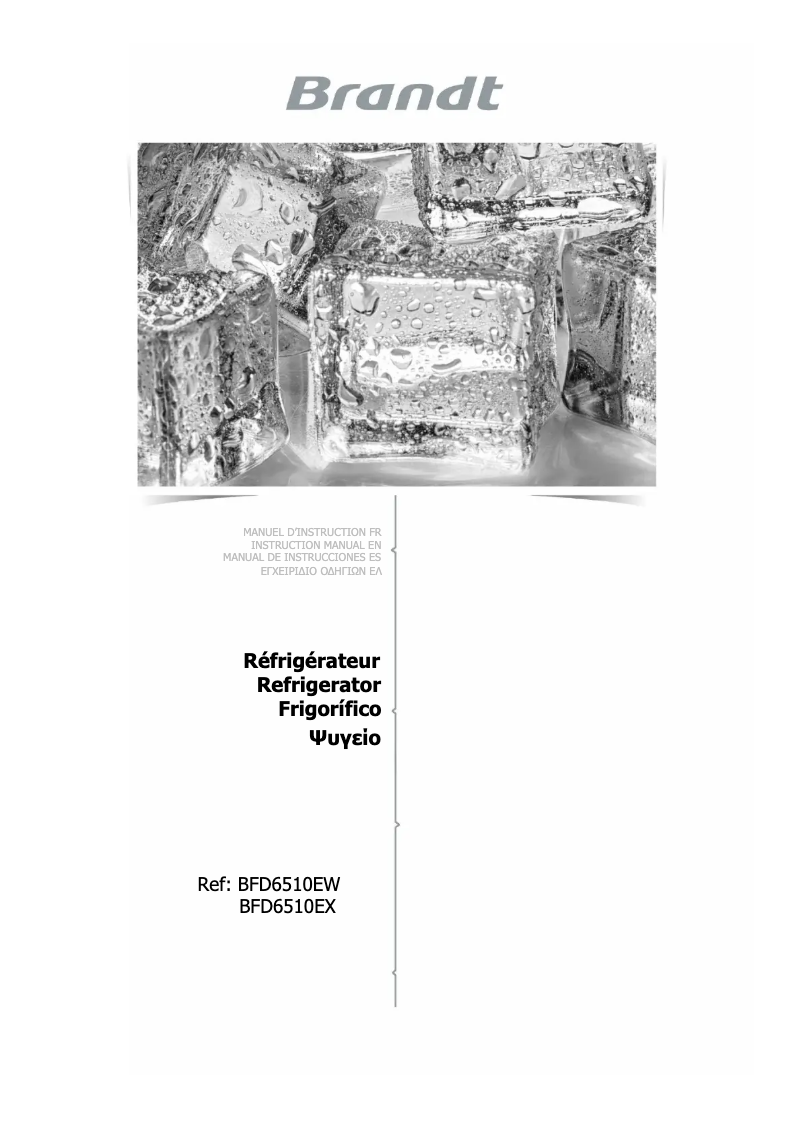 Imagen de la primera página del manual del dispositivo BFD6510EW