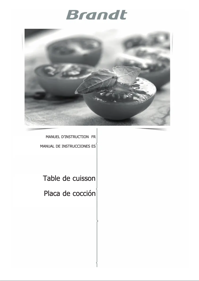 Página 1 del manual Manual de usuario Brandt BPI6364W