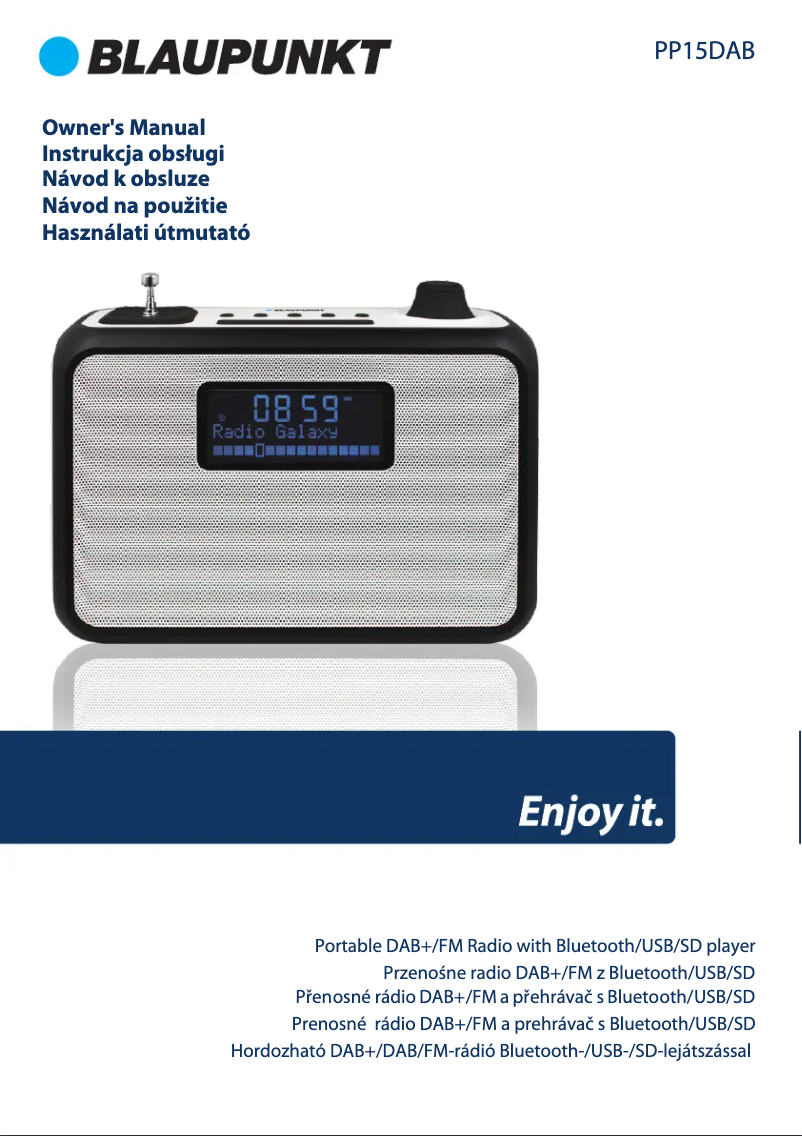 Imagen de la primera página del manual del dispositivo PP15DAB