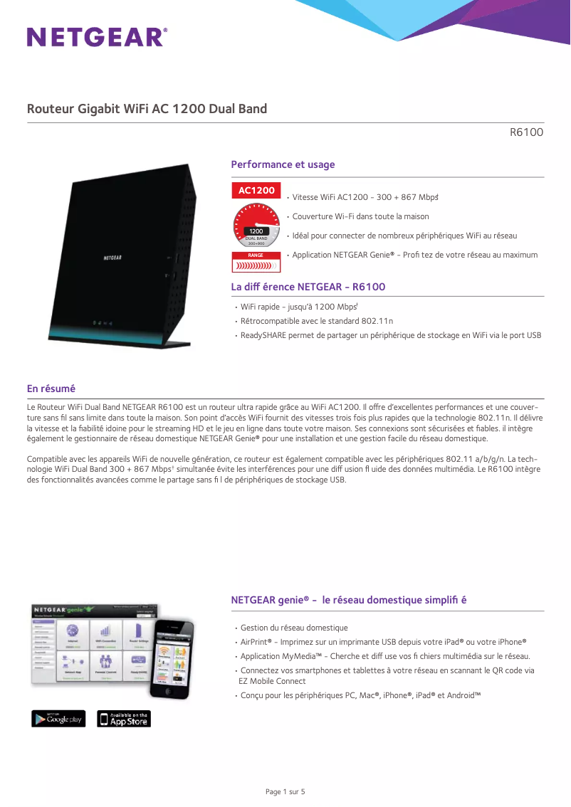 Página 1 del manual Ficha técnica Netgear R6100-100PES