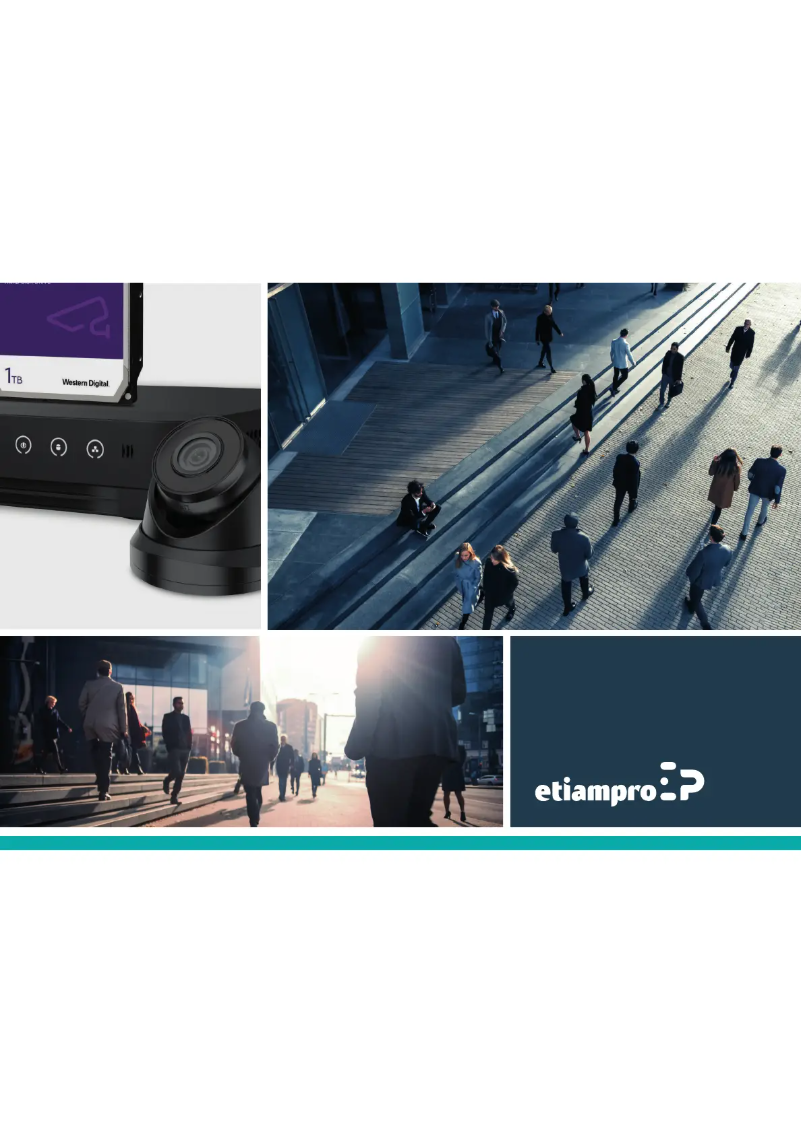 Página 1 del manual Manual de usuario EtiamPro EDVR216