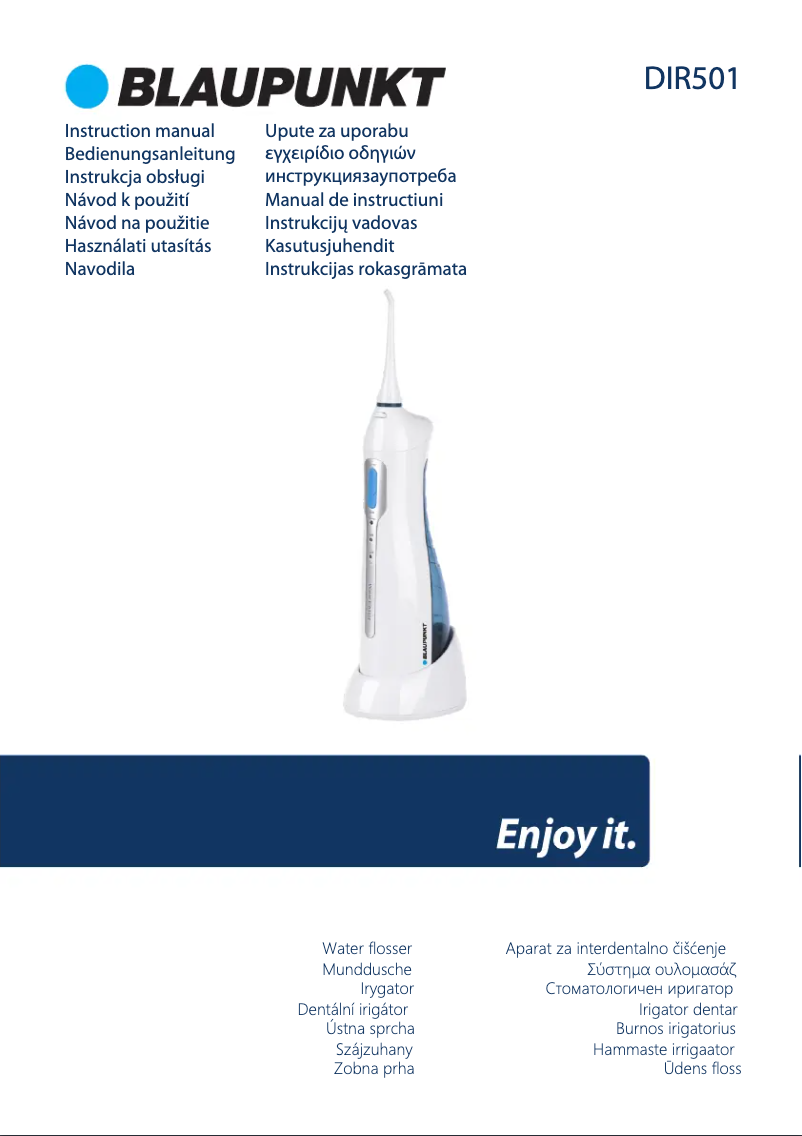 Página 1 del manual Manual de usuario Blaupunkt DIR501