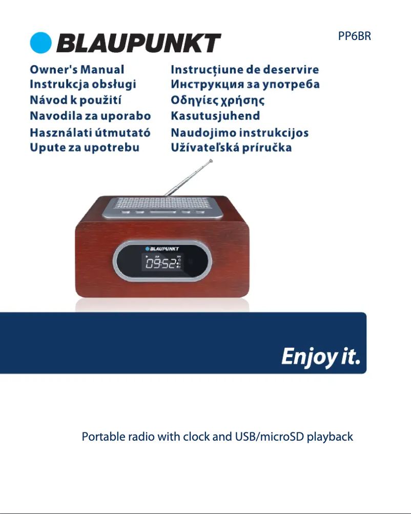 Imagen de la primera página del manual del dispositivo PP6BR