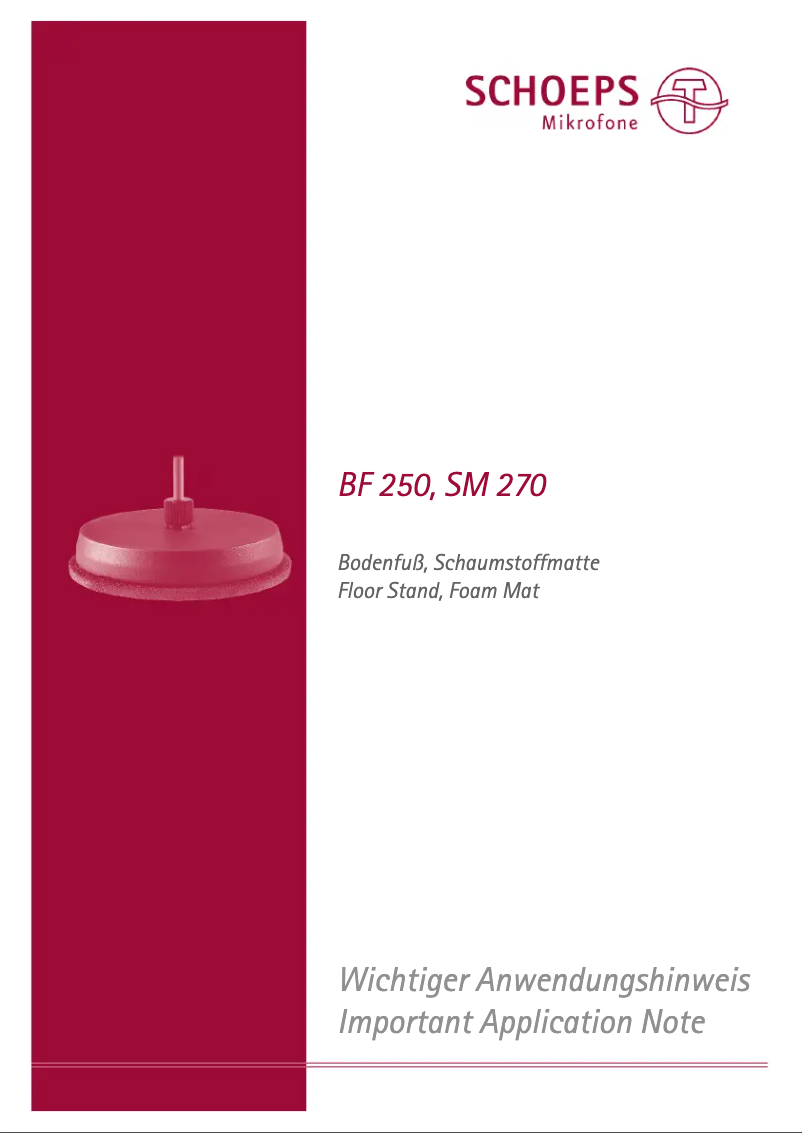 Imagen de la primera página del manual del dispositivo BF250