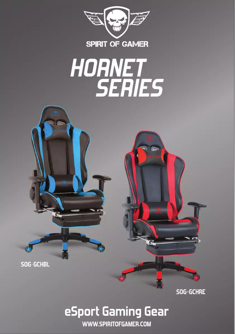 Imagen de la primera página del manual del dispositivo Hornet