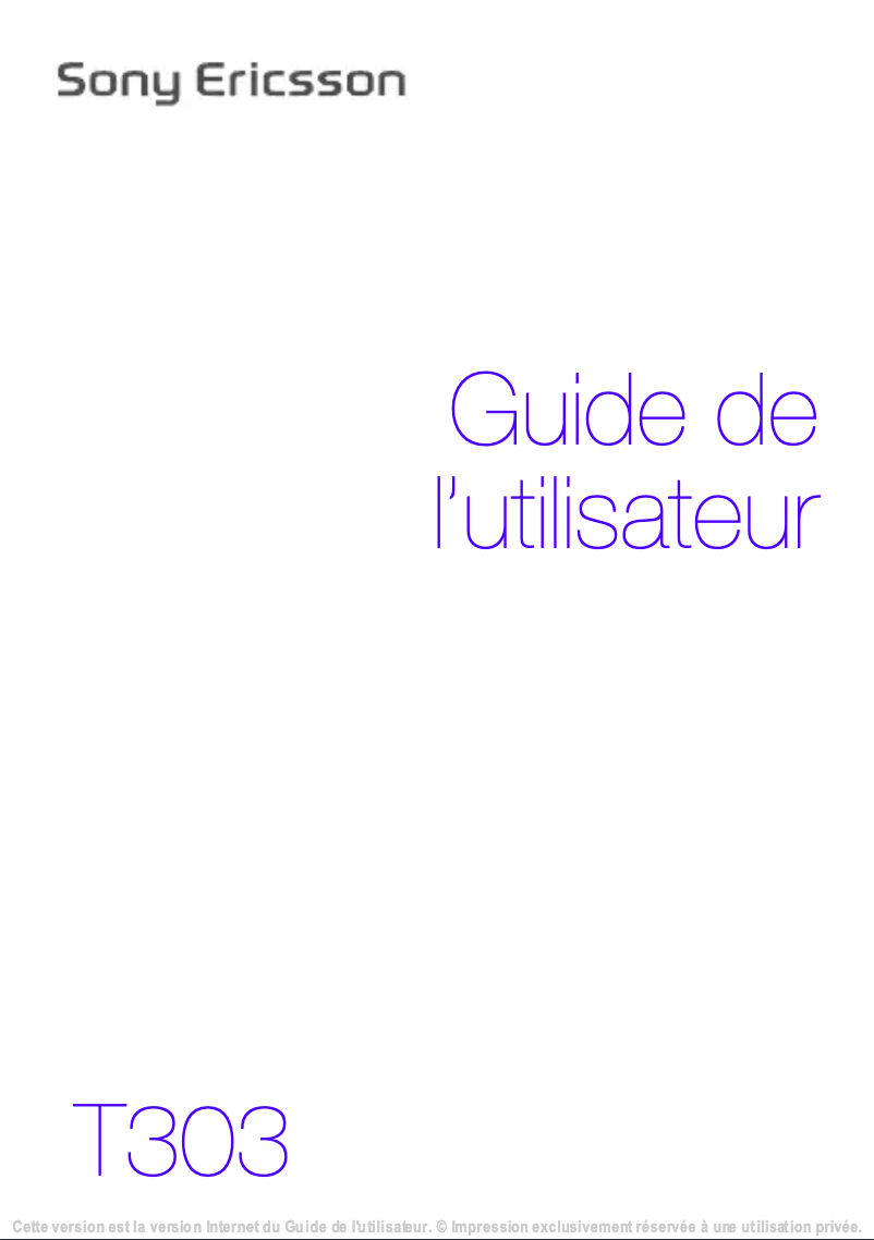 Imagen de la primera página del manual del dispositivo T303