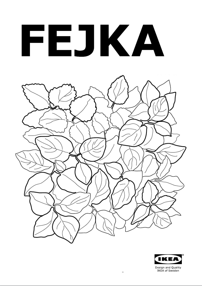 Imagen de la primera página del manual del dispositivo FEJKA