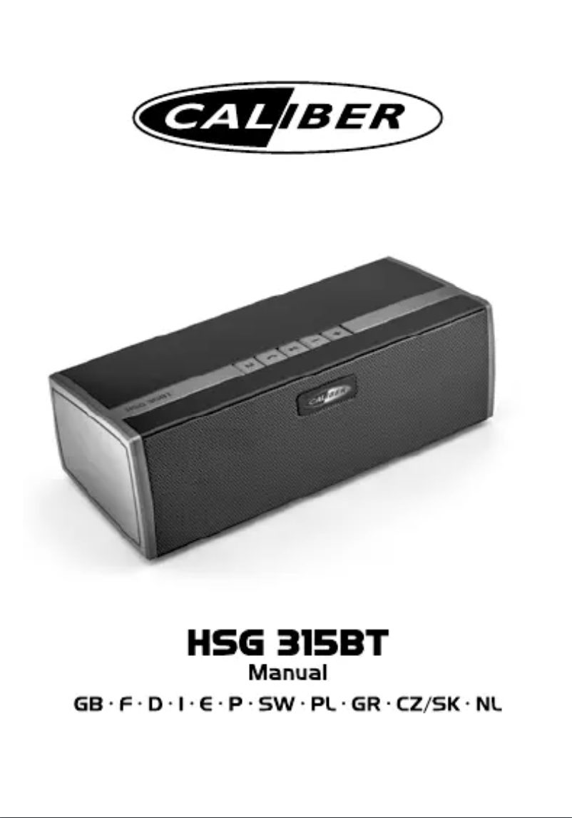 Imagen de la primera página del manual del dispositivo HSG315BT