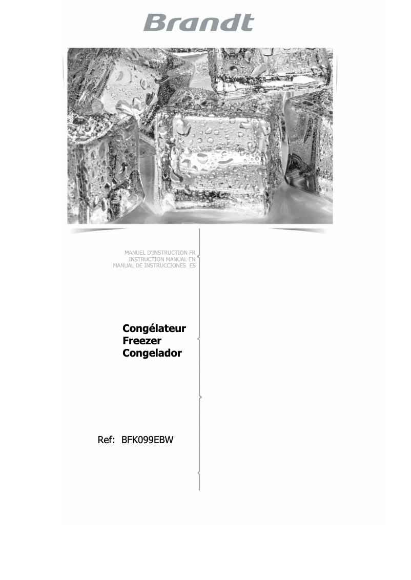 Imagen de la primera página del manual del dispositivo BFK099EBW