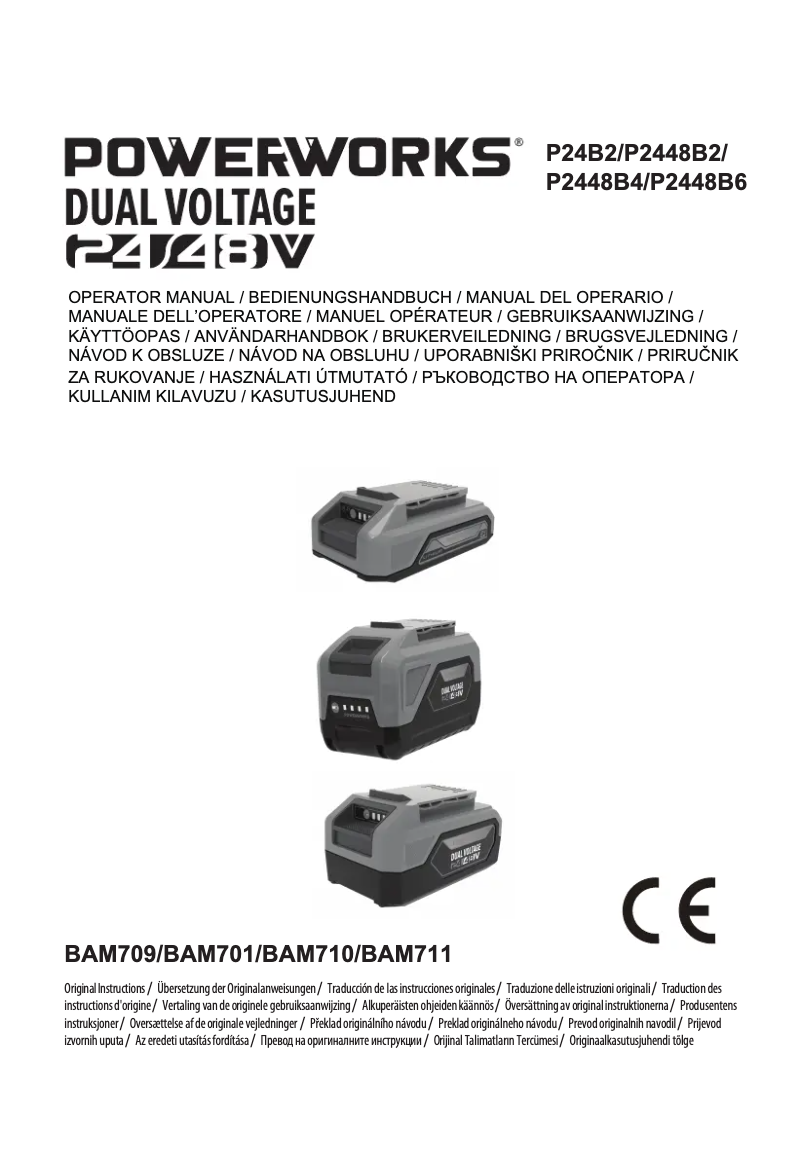Página nº 1 - Manual de usuario Powerworks P2448B6