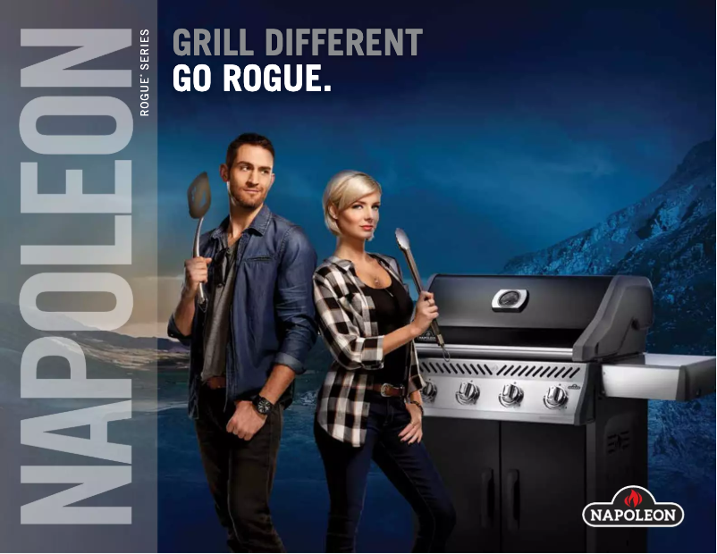 Imagen de la primera página del manual del dispositivo Rogue 425 SIB