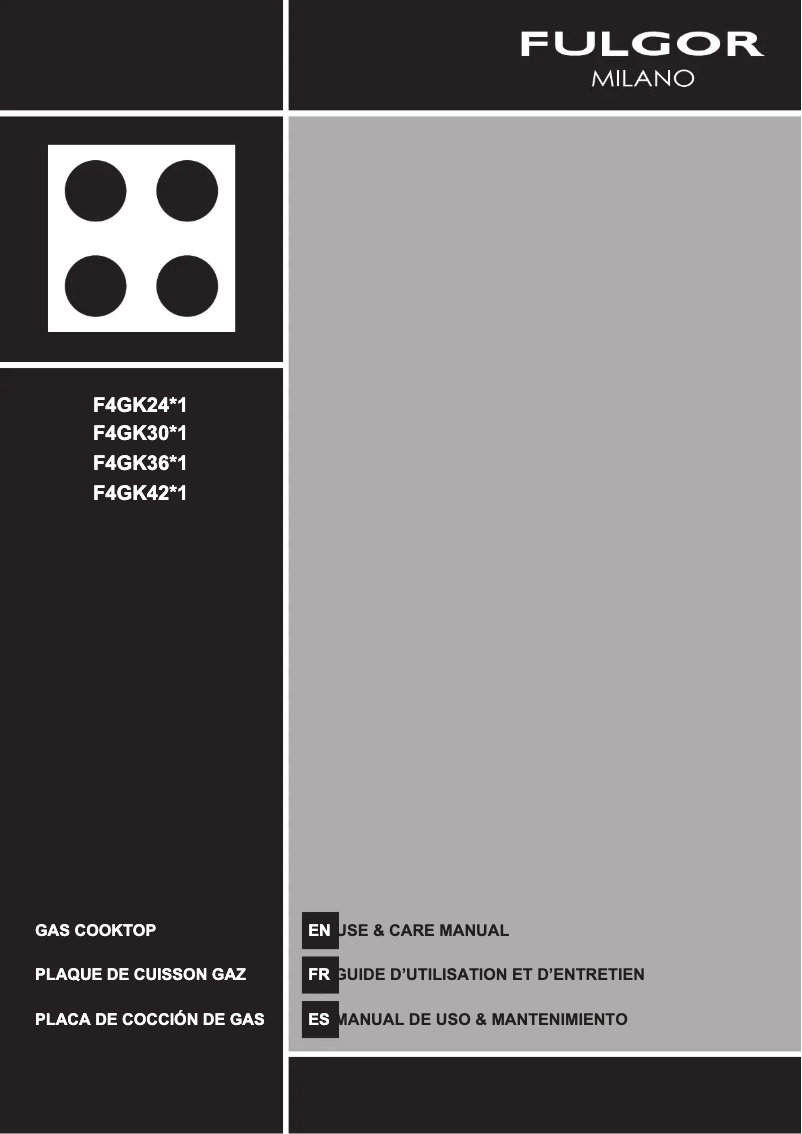 Imagen de la primera página del manual del dispositivo F4GK36S1