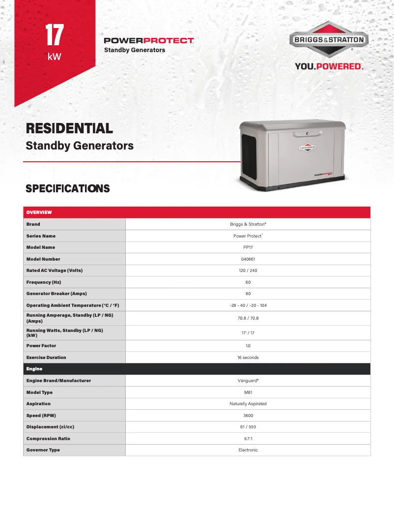 Página 1 del manual Ficha técnica Briggs & Stratton Power Protect 17kW