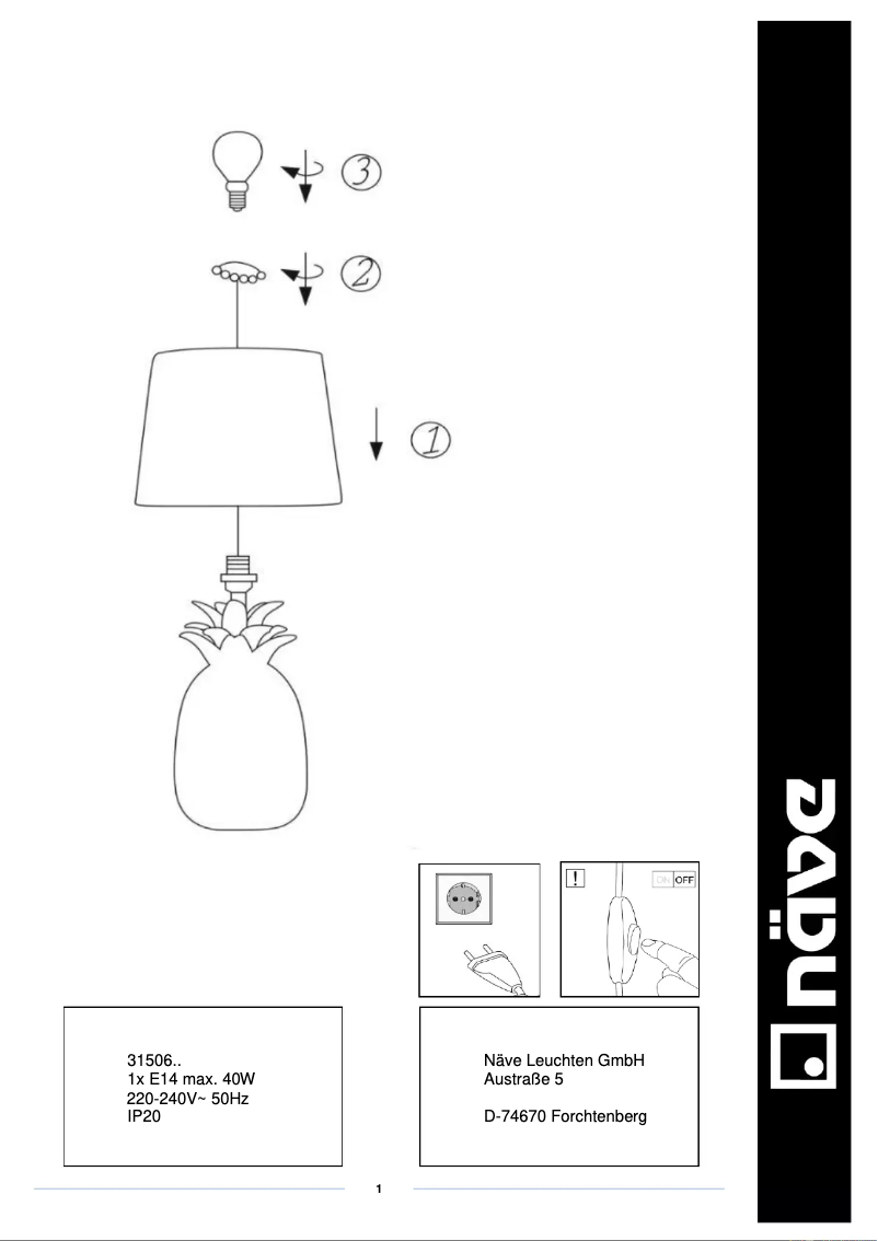 Imagen de la primera página del manual del dispositivo Ananas