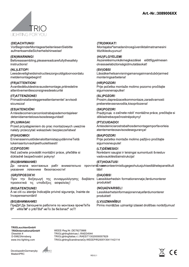 Página nº 1 - Manual de usuario Trio Lighting Baroness 308900631