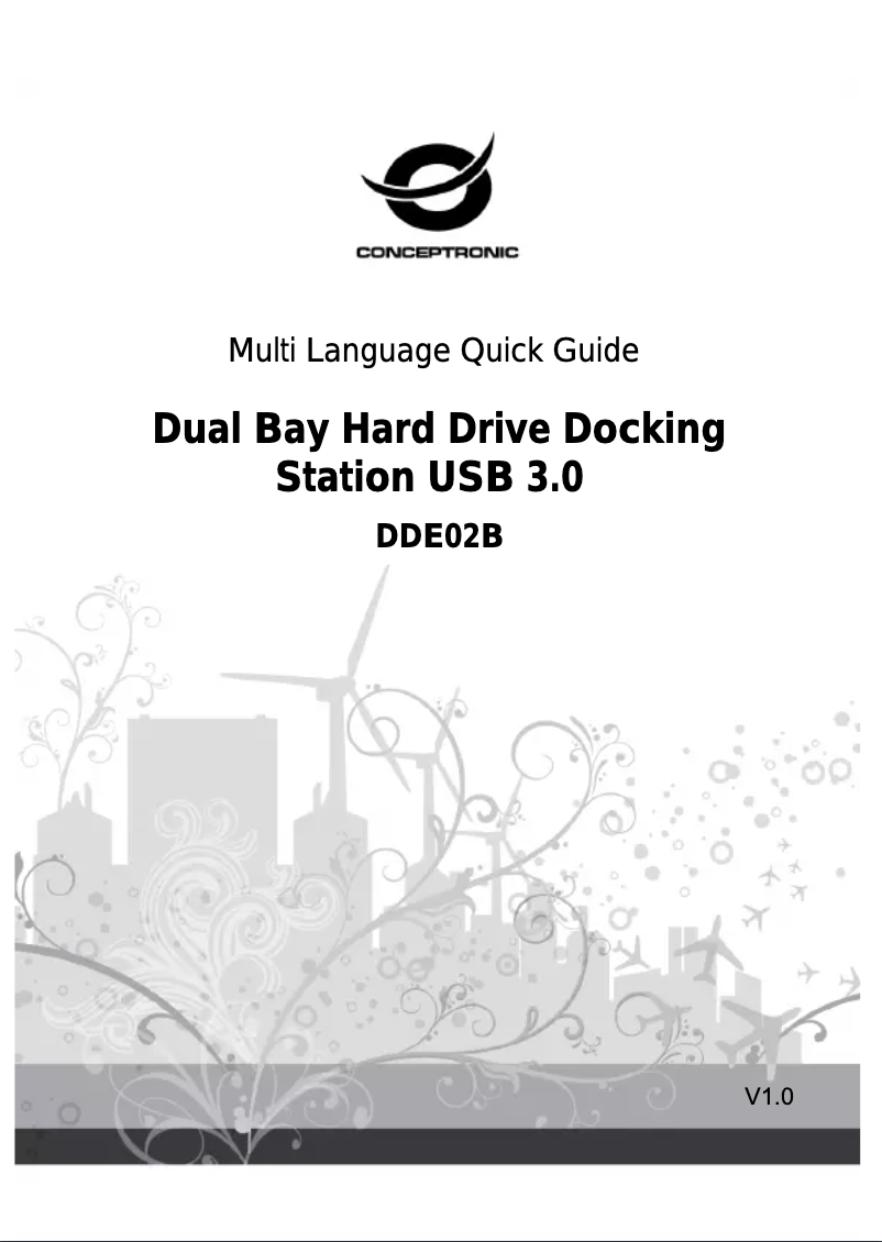 Imagen de la primera página del manual del dispositivo DDE02B