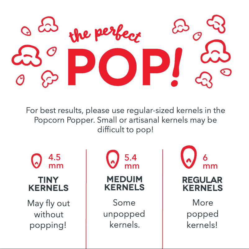 Imagen de la primera página del manual del dispositivo DMPP100GBAQ04