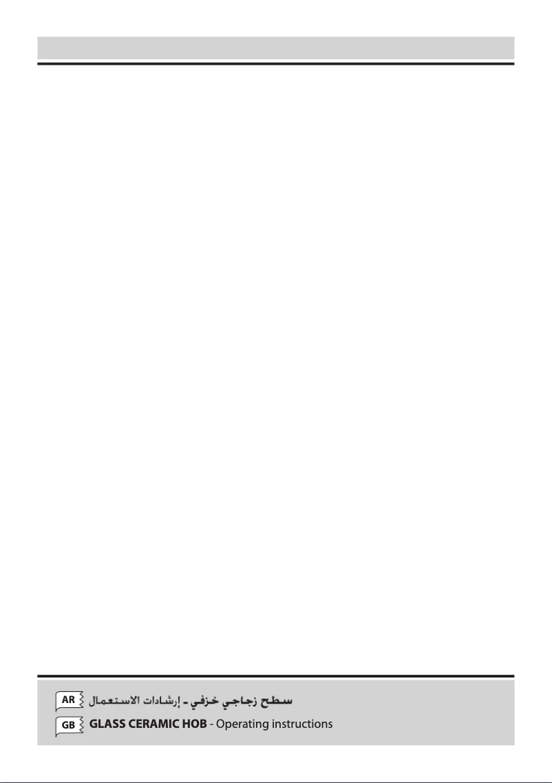 Página 1 del manual Manual de usuario Candy CH95CA