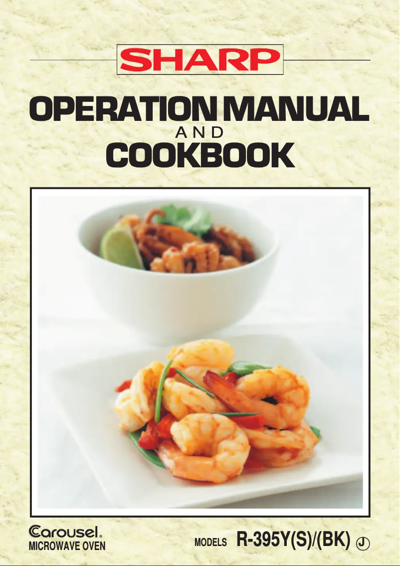 Imagen de la primera página del manual del dispositivo R-395Y