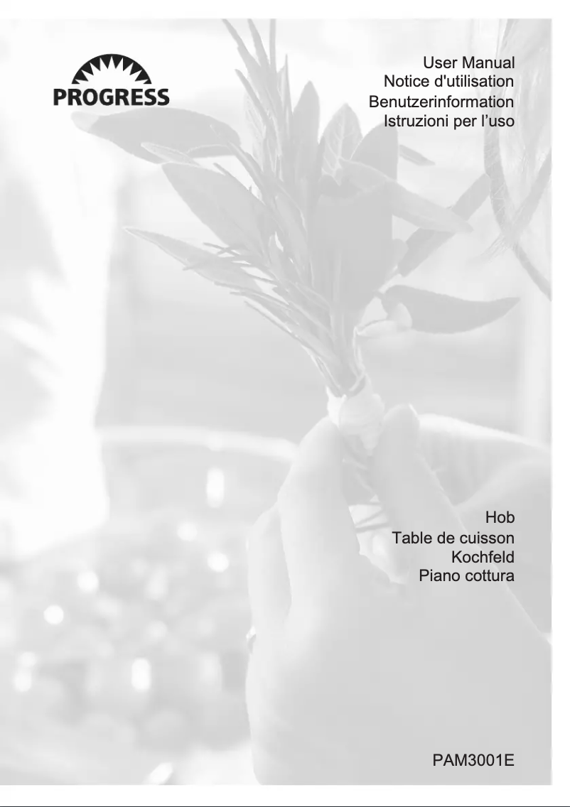 Imagen de la primera página del manual del dispositivo PAM3001E