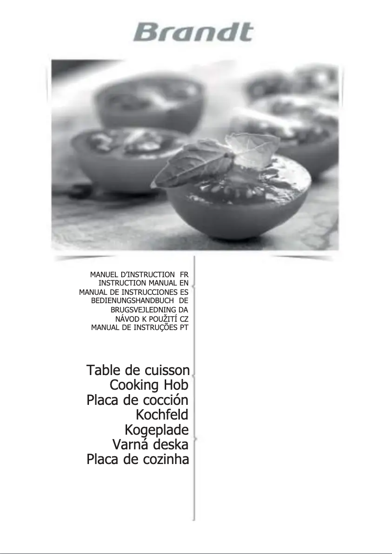 Imagen de la primera página del manual del dispositivo BPI6310B