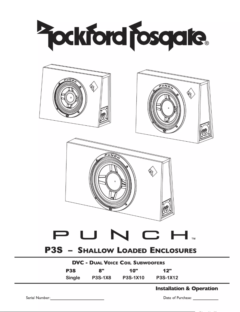 Imagen de la primera página del manual del dispositivo Punch P3S-1X10