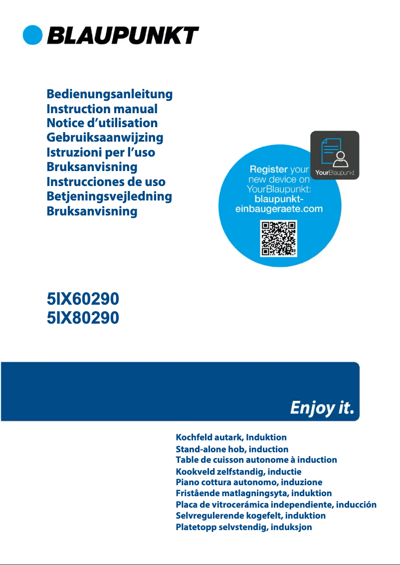 Página 1 del manual Guía de instalación Blaupunkt 5IX80290