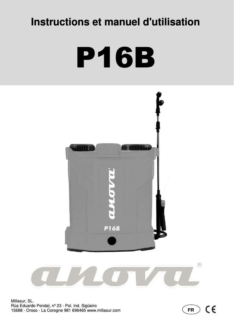 Imagen de la primera página del manual del dispositivo P16B