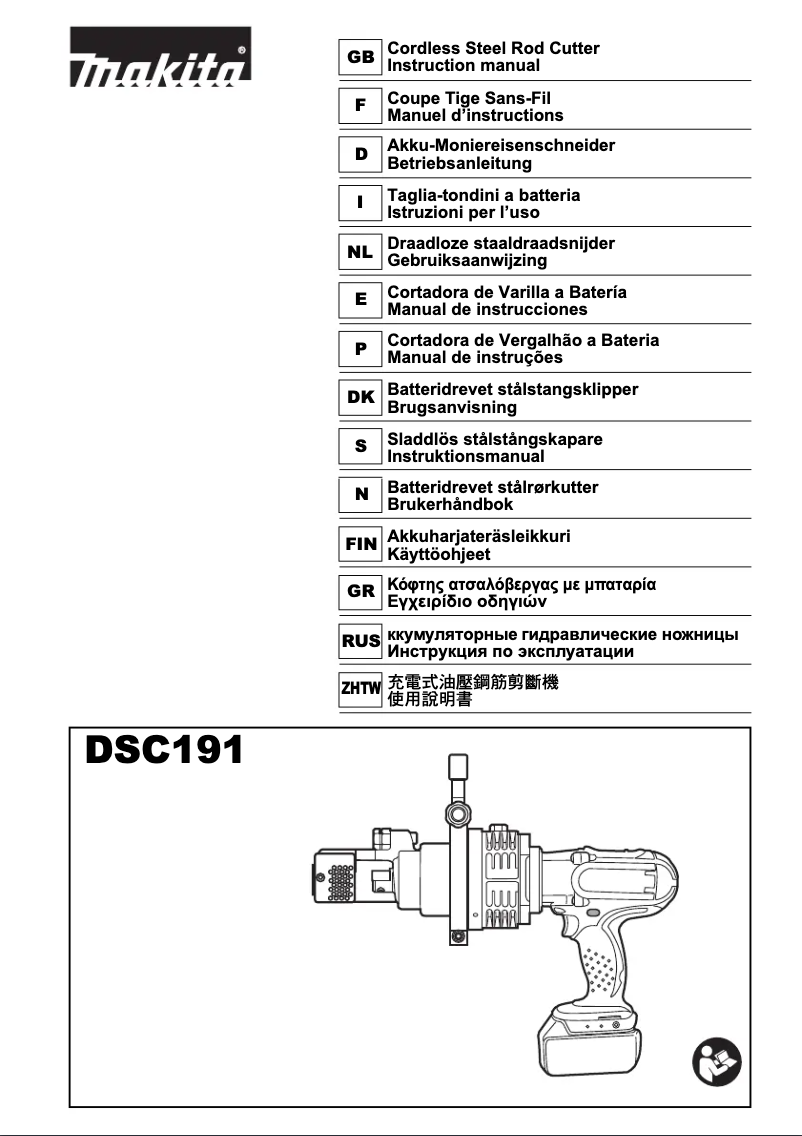 Imagen de la primera página del manual del dispositivo DSC191