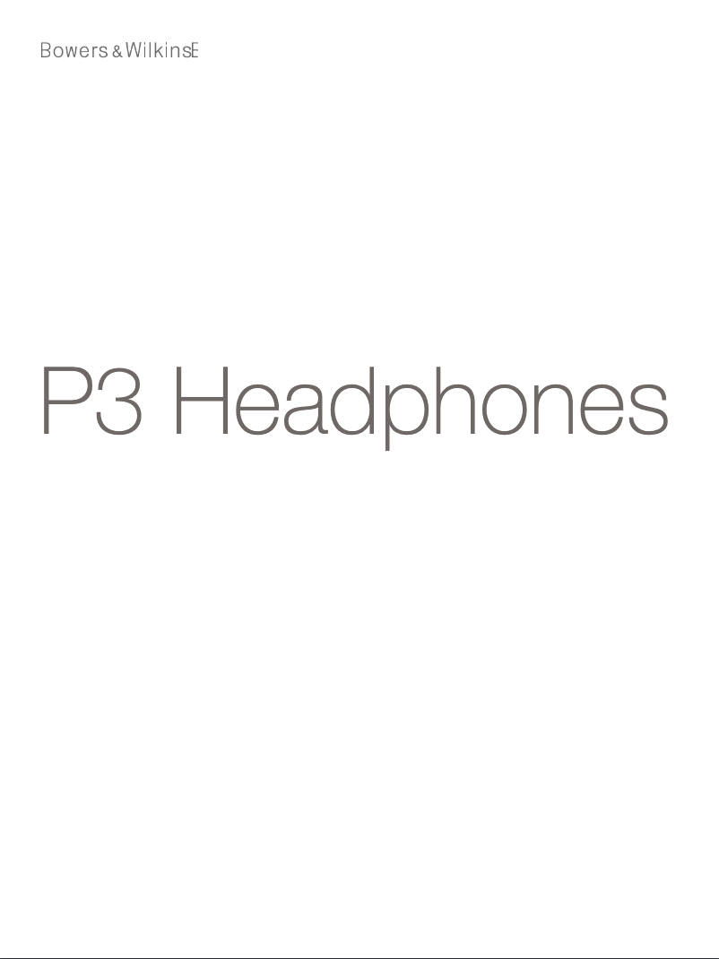 Imagen de la primera página del manual del dispositivo P3