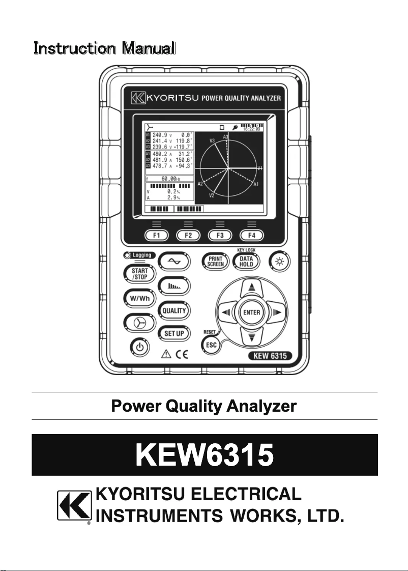 Página 1 del manual Manual de usuario Kyoritsu KEW 6315