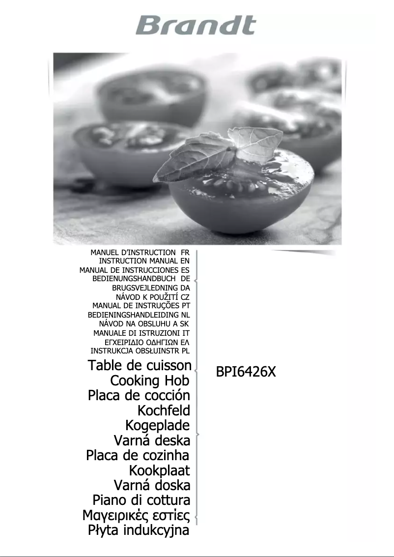 Imagen de la primera página del manual del dispositivo BPI6426X