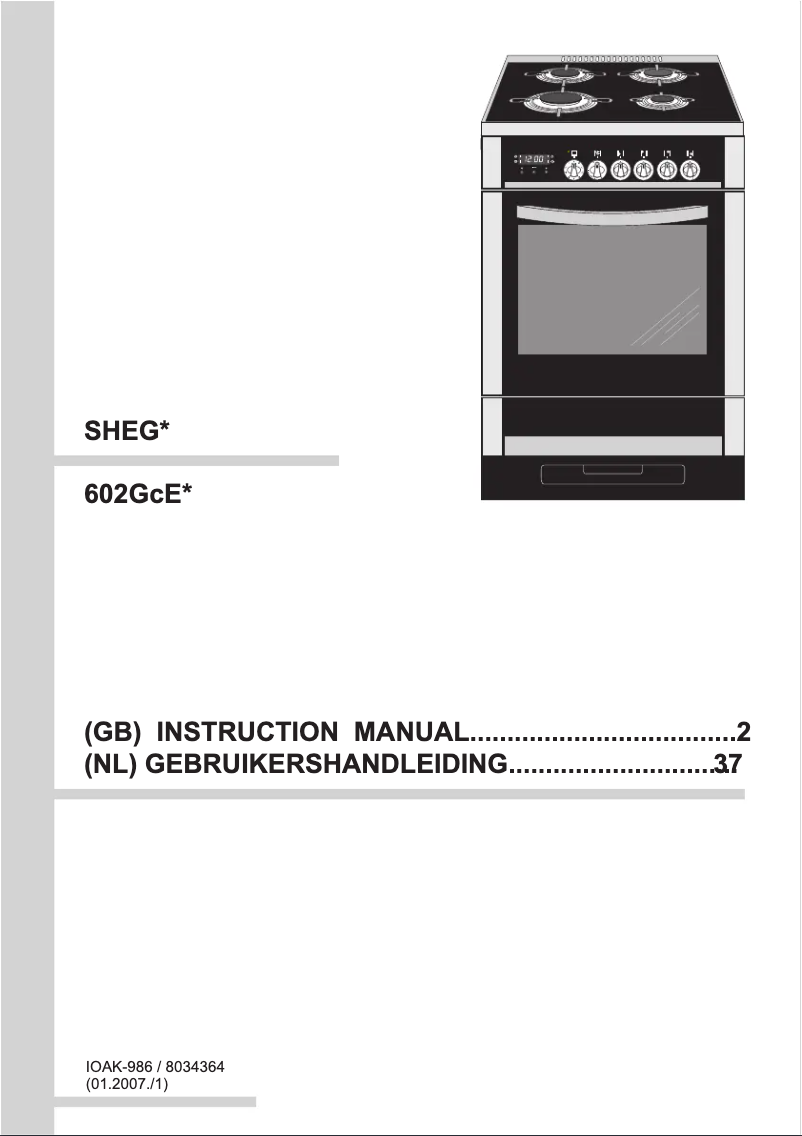 Imagen de la primera página del manual del dispositivo SHEG 11166 E