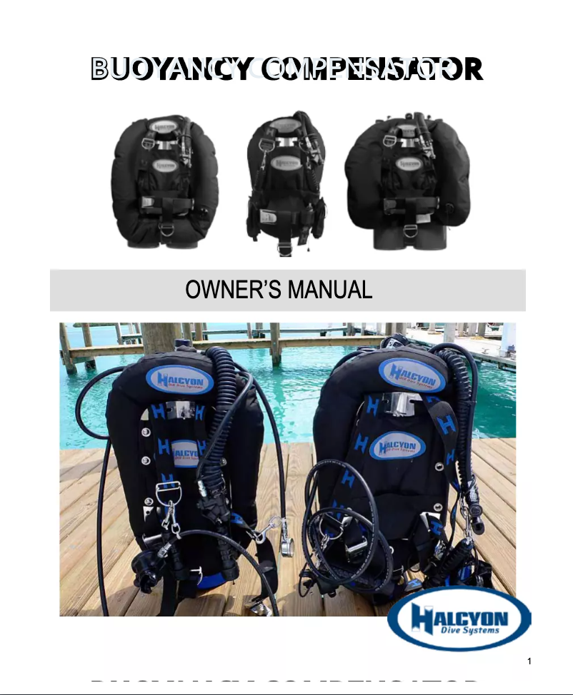 Página 1 del manual Manual de usuario Halcyon BC 2009