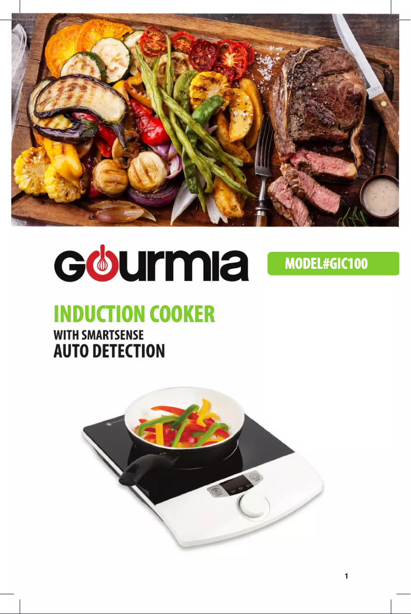 Imagen de la primera página del manual del dispositivo GIC100