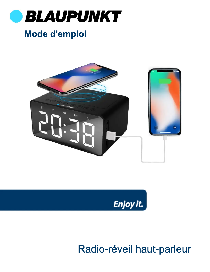 Imagen de la primera página del manual del dispositivo BLP2830