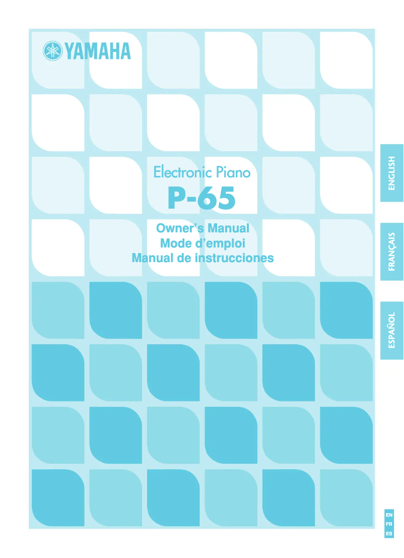 Imagen de la primera página del manual del dispositivo P-65