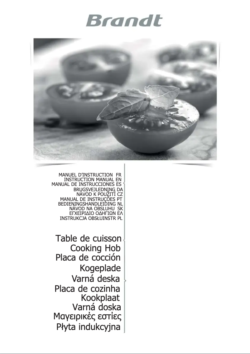 Página 1 del manual Manual de usuario Brandt BPI6315B