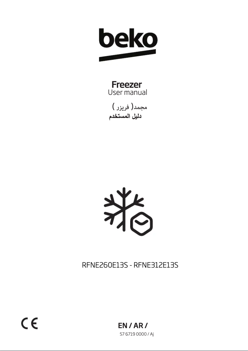 Imagen de la primera página del manual del dispositivo RFNE312E13S