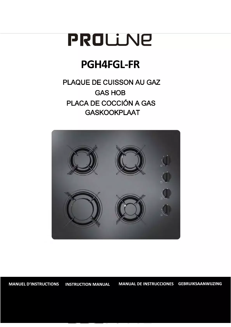 Página 1 del manual Manual de usuario Proline PGH4FGL-FR