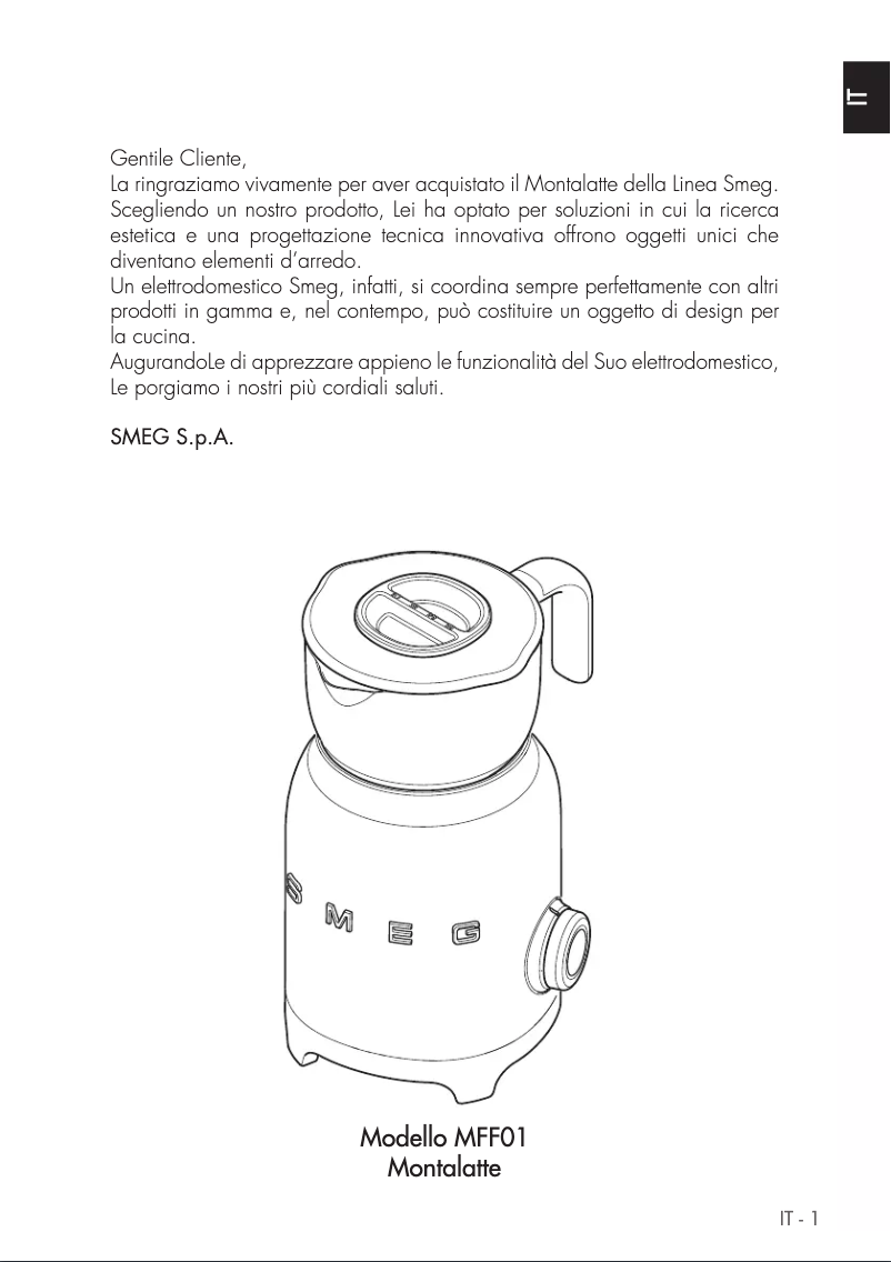 Imagen de la primera página del manual del dispositivo MFF01